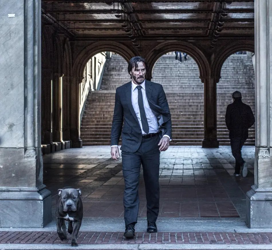 Sinopsis Film John Wick 2, Kisah Keanu Reeves Kembali ke Dunia Gelap