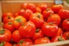 Kaya Akan Berbagai Kandungan Vitamin, Ketahui Manfaat Tomat Bagi Tubuh (ilustrasi: Freepik)