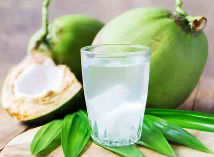 manfaat minum air kelapa