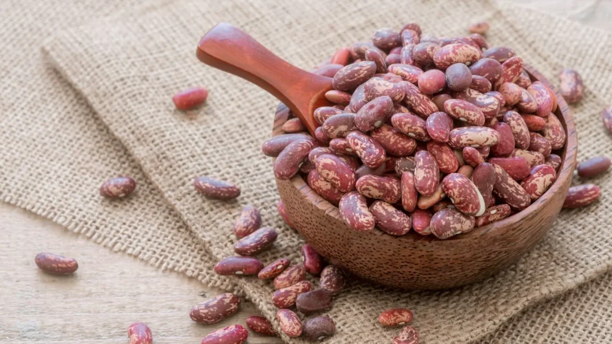 6 Manfaat Baik Konsumsi Kacang Merah Bagi Kesehatan (ilustrasi: Freepik)